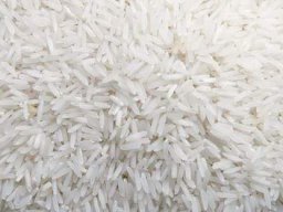 RIZ