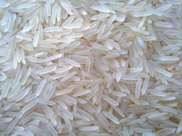 RIZ