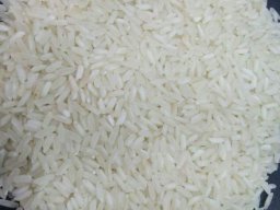 RIZ