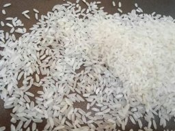 RIZ