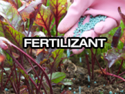 fertilisant